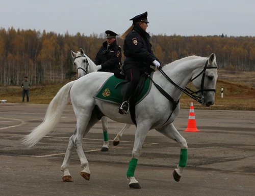 FVN_9831110_W.jpg