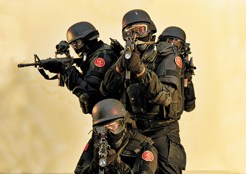GI-QT.jpg