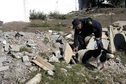 Recherche-de-survivants--apres-un-sinistre.jpg