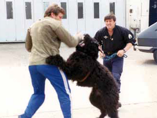 Chien--GIGN.jpg
