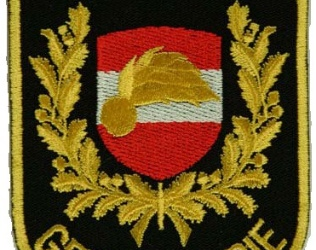 Gendarmerie autrichienne (1849 – 2005)